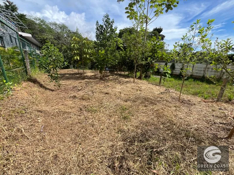 Uvita Dream Lot: Build Your Home or High-Yield Airbnb Near Amenities - Under $200/sqm! — view 37, Uvita, Uvita, Costa Rica