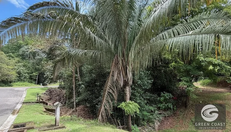Prime Flat Lot in Gated Community Near Esterillos Beach – Ready for Your Dream Home! — view 4, Jacó, Costa Rica