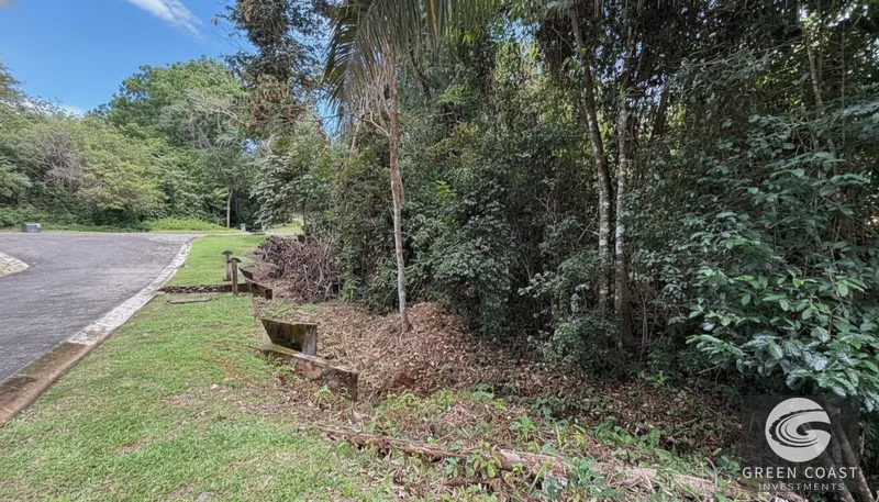 Prime Flat Lot in Gated Community Near Esterillos Beach – Ready for Your Dream Home! — view 5, Jacó, Costa Rica