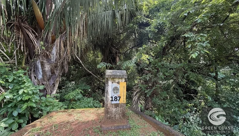 Mountain View Lot in Gated Community Near Esterillos Beach – Build Your Dream Home! — view 4, Jacó, Costa Rica
