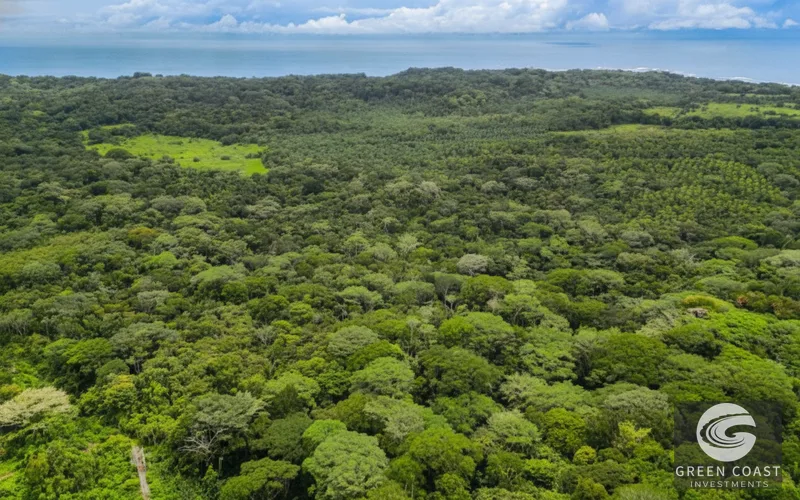 Mountain View Lot in Gated Community Near Esterillos Beach – Build Your Dream Home! — view 15, Jacó, Costa Rica