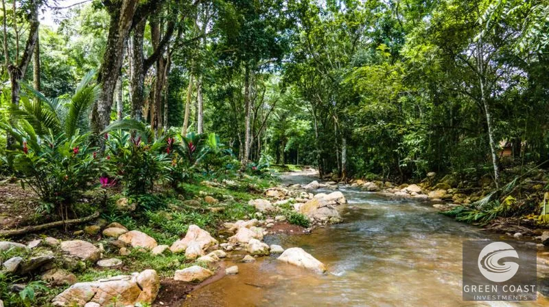 Riverside Sanctuary in Playa Hermosa: Waterfalls, Wildlife & Ocean Views in Gated Community — view 5, Jacó, Costa Rica