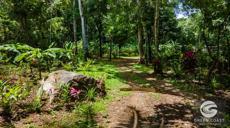 Riverside Sanctuary in Playa Hermosa: Waterfalls, Wildlife & Ocean Views in Gated Community — view 6, Jacó, Costa Rica