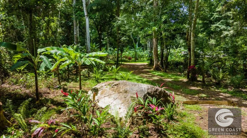 Riverside Sanctuary in Playa Hermosa: Waterfalls, Wildlife & Ocean Views in Gated Community — view 7, Jacó, Costa Rica