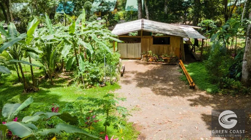 Riverside Sanctuary in Playa Hermosa: Waterfalls, Wildlife & Ocean Views in Gated Community — view 8, Jacó, Costa Rica
