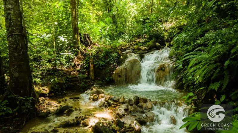Riverside Sanctuary in Playa Hermosa: Waterfalls, Wildlife & Ocean Views in Gated Community — view 9, Jacó, Costa Rica
