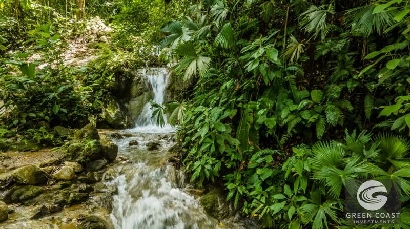 Riverside Sanctuary in Playa Hermosa: Waterfalls, Wildlife & Ocean Views in Gated Community — view 10, Jacó, Costa Rica