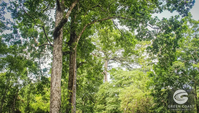 Riverside Sanctuary in Playa Hermosa: Waterfalls, Wildlife & Ocean Views in Gated Community — view 12, Jacó, Costa Rica