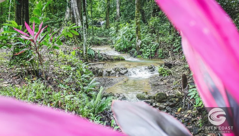 Riverside Sanctuary in Playa Hermosa: Waterfalls, Wildlife & Ocean Views in Gated Community — view 14, Jacó, Costa Rica