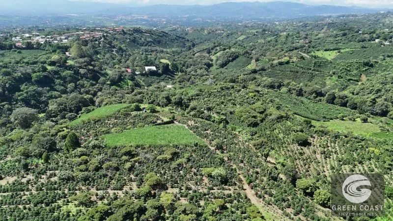 30-Acre Luxury Coffee Farm in Grecia with Spring-Fed Creek & Panoramic Mountain Views — view 2, Grecia, Grecia, Costa Rica