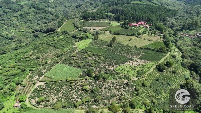 30-Acre Luxury Coffee Farm in Grecia with Spring-Fed Creek & Panoramic Mountain Views — view 3, Grecia, Grecia, Costa Rica