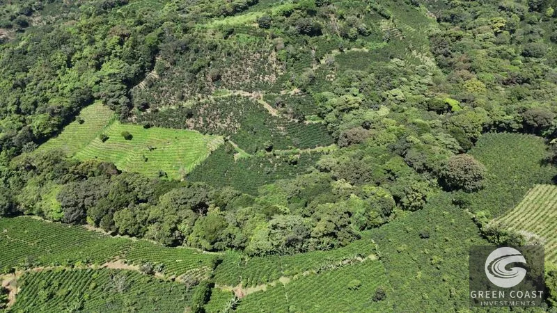 30-Acre Luxury Coffee Farm in Grecia with Spring-Fed Creek & Panoramic Mountain Views — view 6, Grecia, Grecia, Costa Rica