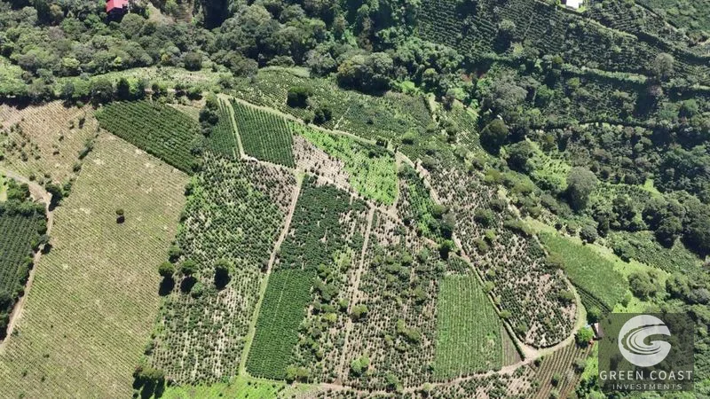 30-Acre Luxury Coffee Farm in Grecia with Spring-Fed Creek & Panoramic Mountain Views — view 9, Grecia, Grecia, Costa Rica