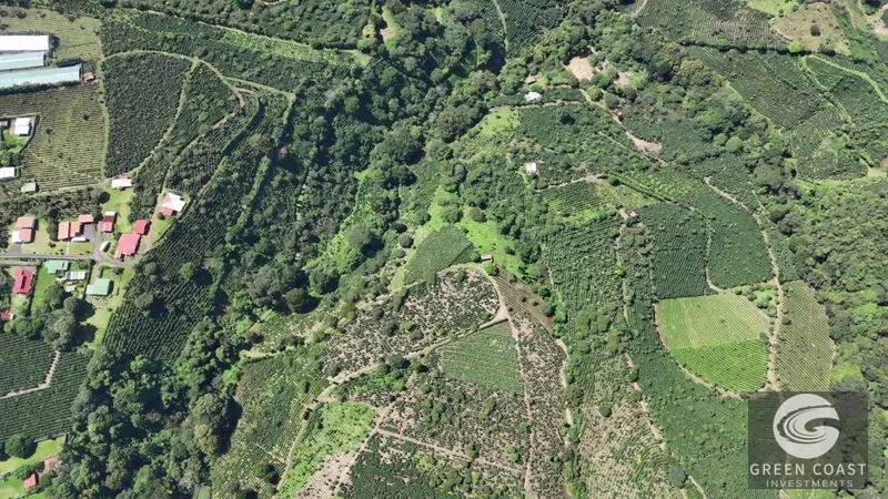30-Acre Luxury Coffee Farm in Grecia with Spring-Fed Creek & Panoramic Mountain Views — view 10, Grecia, Grecia, Costa Rica