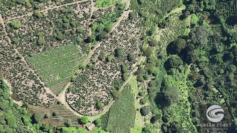 30-Acre Luxury Coffee Farm in Grecia with Spring-Fed Creek & Panoramic Mountain Views — view 11, Grecia, Grecia, Costa Rica