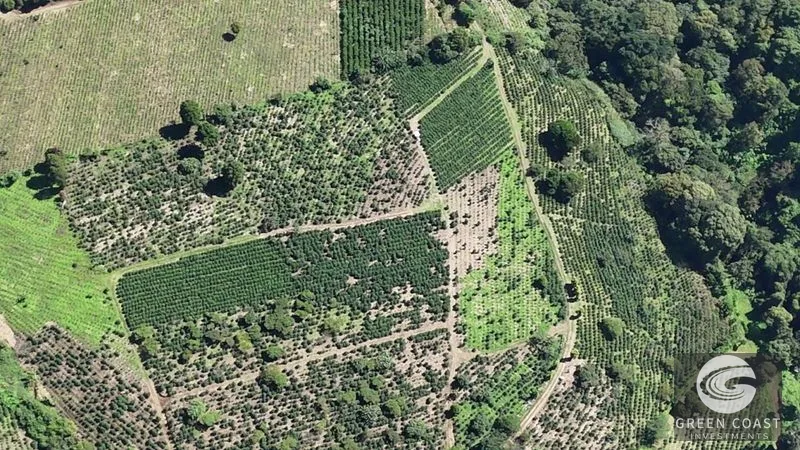 30-Acre Luxury Coffee Farm in Grecia with Spring-Fed Creek & Panoramic Mountain Views — view 13, Grecia, Grecia, Costa Rica