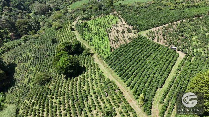 30-Acre Luxury Coffee Farm in Grecia with Spring-Fed Creek & Panoramic Mountain Views — view 14, Grecia, Grecia, Costa Rica