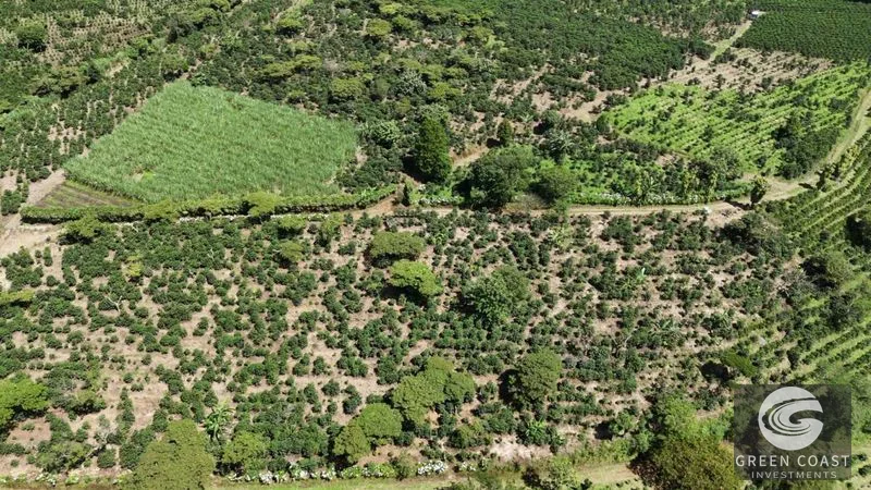 30-Acre Luxury Coffee Farm in Grecia with Spring-Fed Creek & Panoramic Mountain Views — view 15, Grecia, Grecia, Costa Rica