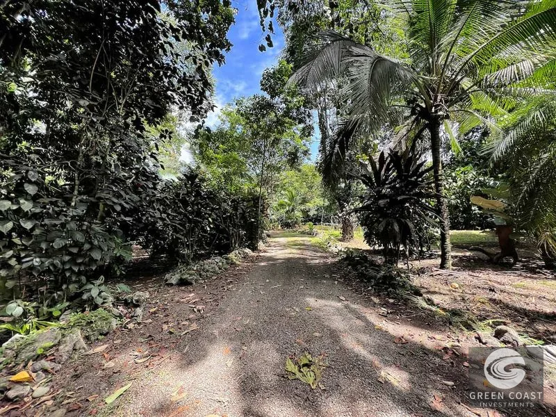 Custom Jungle Oasis with Beach Access and Wildlife in Playa Negra — view 18, Cahuita, Talamanca, Costa Rica
