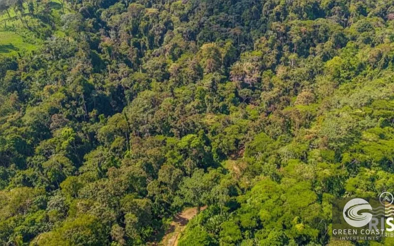 Prime Ocean-View Lot in Exclusive Cahuita Gated Community — view 3, Cahuita, Talamanca, Costa Rica