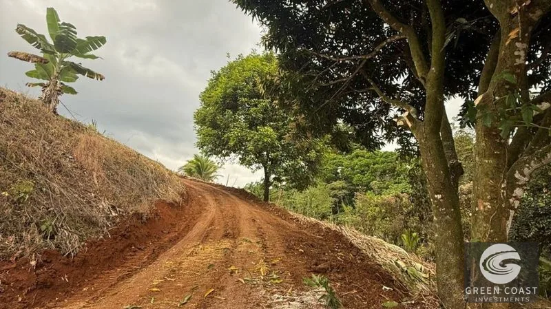 La Fortuna Mountain-View Lot with Natural Creek & Fruit Trees – 6,395 m² — view 3, La Fortuna, San Carlos, Costa Rica