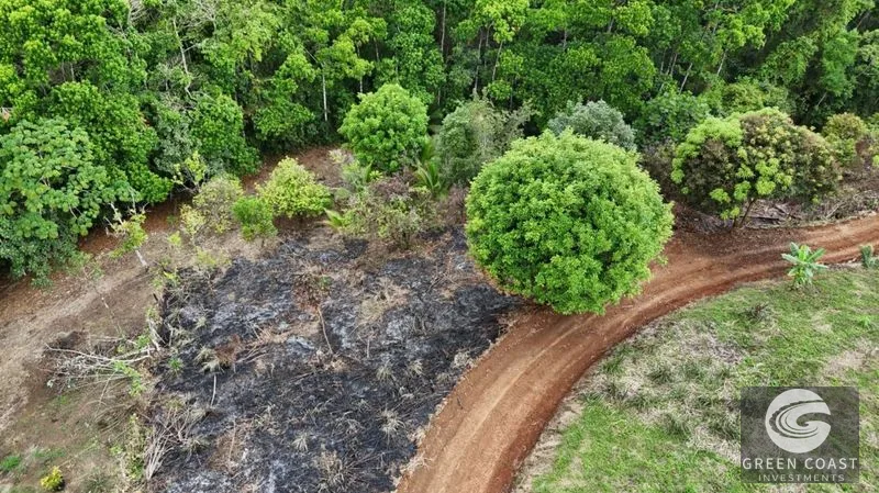 La Fortuna Mountain-View Lot with Natural Creek & Fruit Trees – 6,395 m² — view 4, La Fortuna, San Carlos, Costa Rica