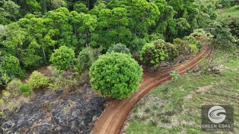 La Fortuna Mountain-View Lot with Natural Creek & Fruit Trees – 6,395 m² — view 6, La Fortuna, San Carlos, Costa Rica