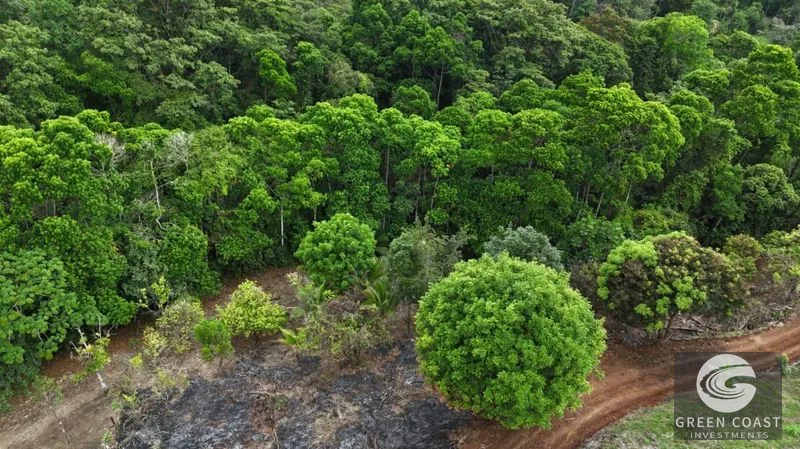 La Fortuna Mountain-View Lot with Natural Creek & Fruit Trees – 6,395 m² — view 7, La Fortuna, San Carlos, Costa Rica