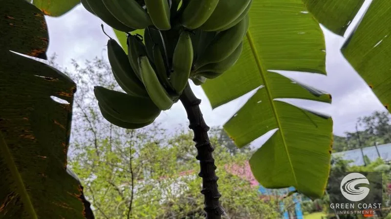 3-BR Sustainable Oasis on 0.48 Acres with Lush Fruit Orchards in San Ramon — view 14, San Ramón, Costa Rica