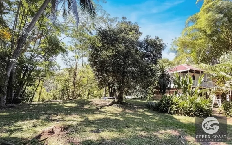 Punta Uva Jungle Studio with Massive Expansion Lot & Wildlife Views — view 2, Cahuita, Talamanca, Costa Rica