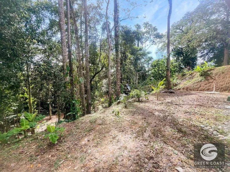 Punta Uva Jungle Studio with Massive Expansion Lot & Wildlife Views — view 23, Cahuita, Talamanca, Costa Rica
