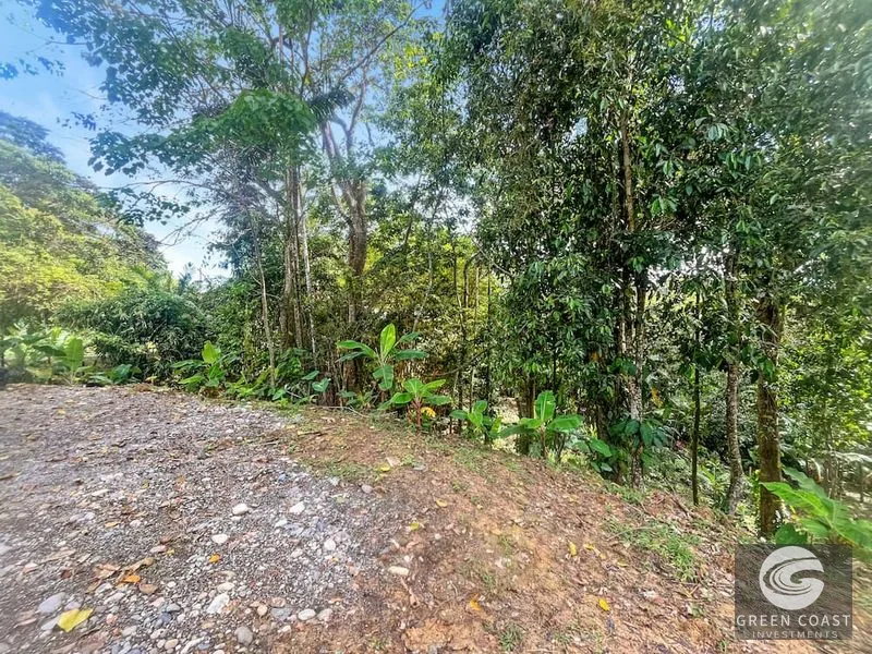 Punta Uva Jungle Studio with Massive Expansion Lot & Wildlife Views — view 25, Cahuita, Talamanca, Costa Rica