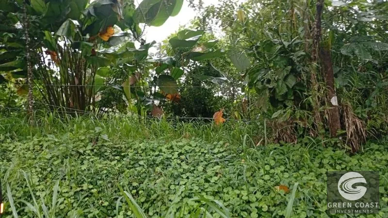 Cool Highland Lot Near La Fortuna with Stunning Volcano Views — view 7, La Fortuna, San Carlos, Costa Rica