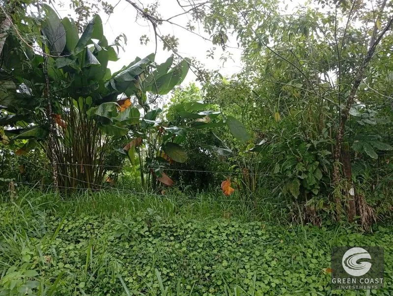 Cool Highland Lot Near La Fortuna with Stunning Volcano Views — view 11, La Fortuna, San Carlos, Costa Rica