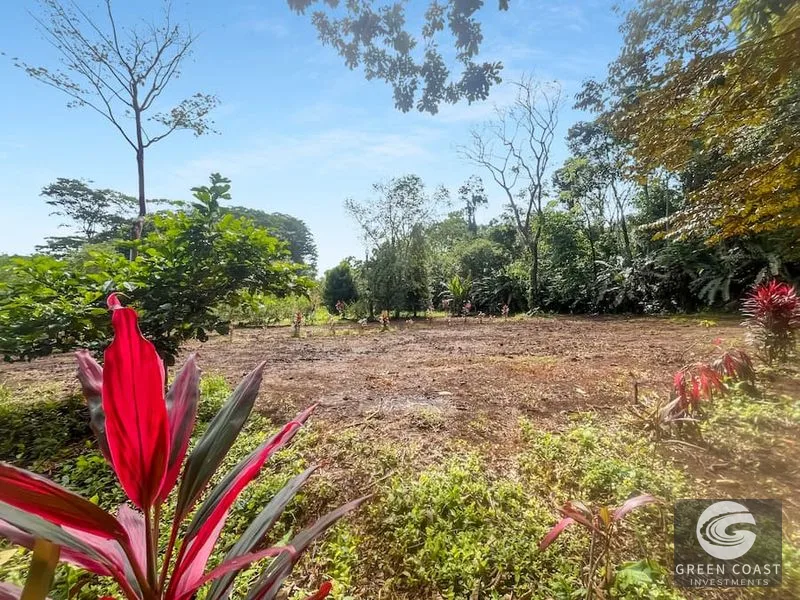 Prime 1,000 m² Building Lots Near Cahuita National Park – Perfect for Eco-Lodge or Tropical Villa — view 1, Cahuita, Talamanca, Costa Rica