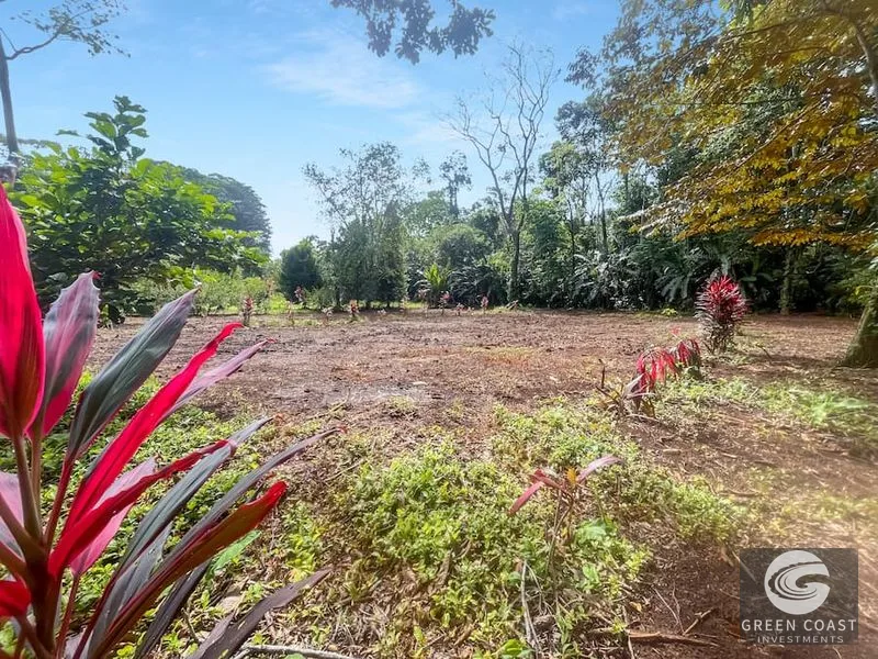 Prime 1,000 m² Building Lots Near Cahuita National Park – Perfect for Eco-Lodge or Tropical Villa — view 3, Cahuita, Talamanca, Costa Rica