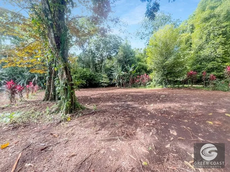 Prime 1,000 m² Building Lots Near Cahuita National Park – Perfect for Eco-Lodge or Tropical Villa — view 5, Cahuita, Talamanca, Costa Rica