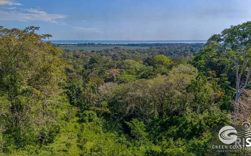 5,000m² Riverfront Eco-Lot in Gated Community | SEED Ecovillage — view 1, Cahuita, Talamanca, Costa Rica