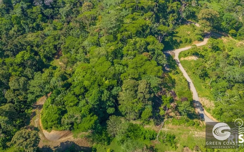 5,000m² Riverfront Eco-Lot in Gated Community | SEED Ecovillage — view 2, Cahuita, Talamanca, Costa Rica
