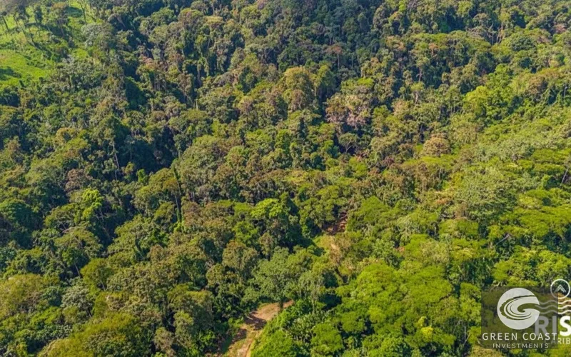 5,000m² Riverfront Eco-Lot in Gated Community | SEED Ecovillage — view 3, Cahuita, Talamanca, Costa Rica