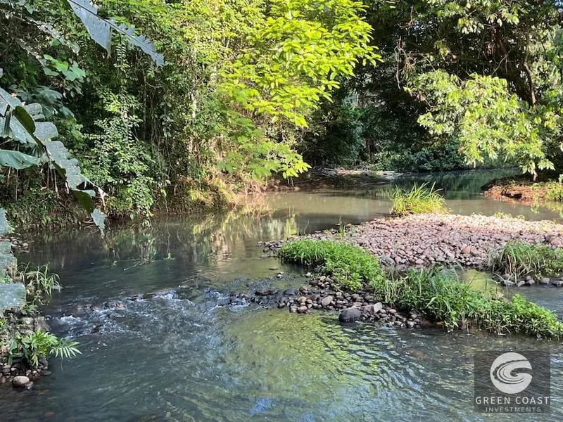 5,000m² Riverfront Eco-Lot in Gated Community | SEED Ecovillage — view 5, Cahuita, Talamanca, Costa Rica