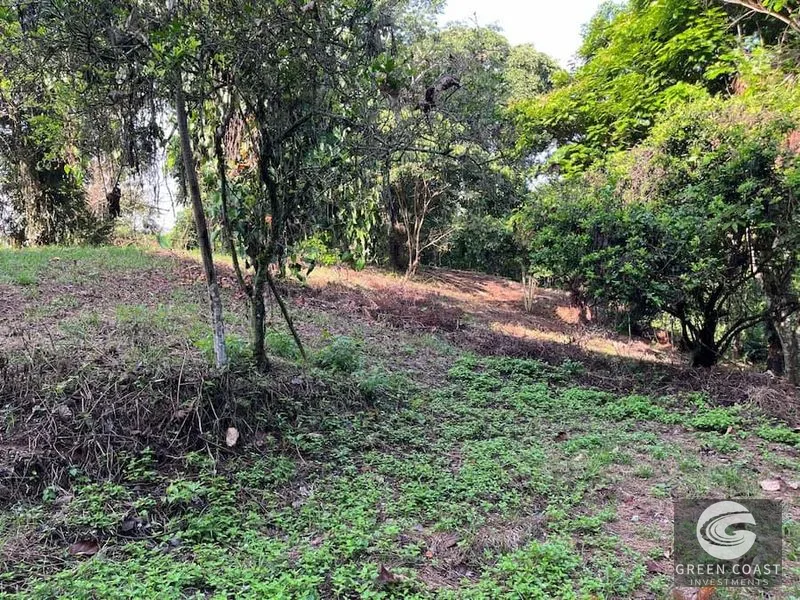 5,000m² Riverfront Eco-Lot in Gated Community | SEED Ecovillage — view 6, Cahuita, Talamanca, Costa Rica