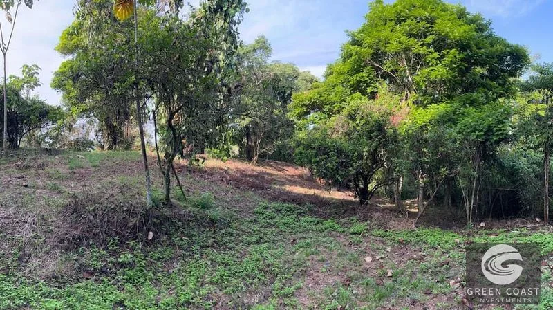 5,000m² Riverfront Eco-Lot in Gated Community | SEED Ecovillage — view 7, Cahuita, Talamanca, Costa Rica
