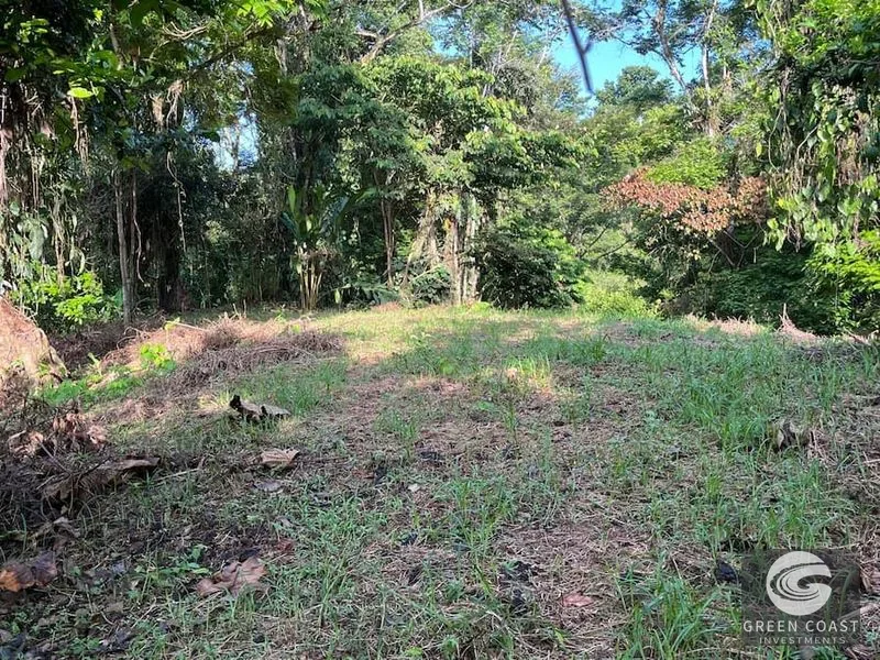 5,000m² Riverfront Eco-Lot in Gated Community | SEED Ecovillage — view 8, Cahuita, Talamanca, Costa Rica