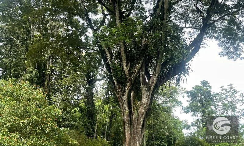 Titled Beachside Lots Near Downtown Puerto Viejo | Walk to the Ocean — view 11, Puerto Viejo, Talamanca, Costa Rica