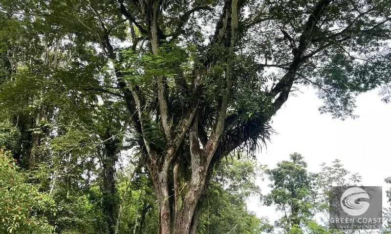 Titled Beachside Lots Near Downtown Puerto Viejo | Walk to the Ocean — view 19, Puerto Viejo, Talamanca, Costa Rica