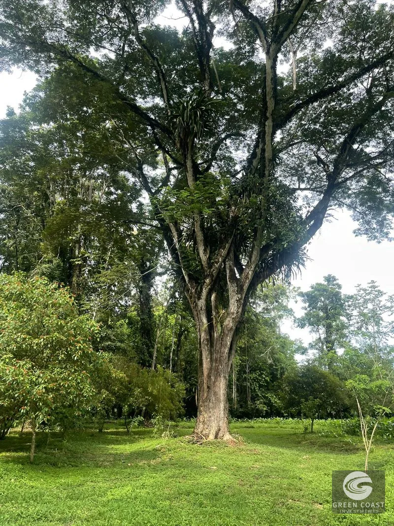 Titled Beachside Lots Near Downtown Puerto Viejo | Walk to the Ocean — view 39, Puerto Viejo, Talamanca, Costa Rica