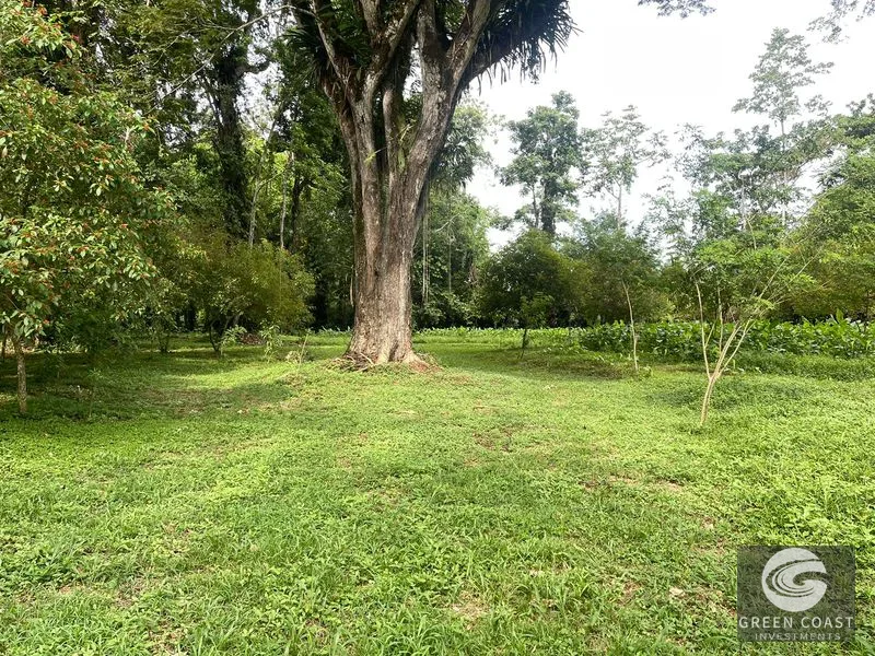 Titled Beachside Lots Near Downtown Puerto Viejo | Walk to the Ocean — view 46, Puerto Viejo, Talamanca, Costa Rica
