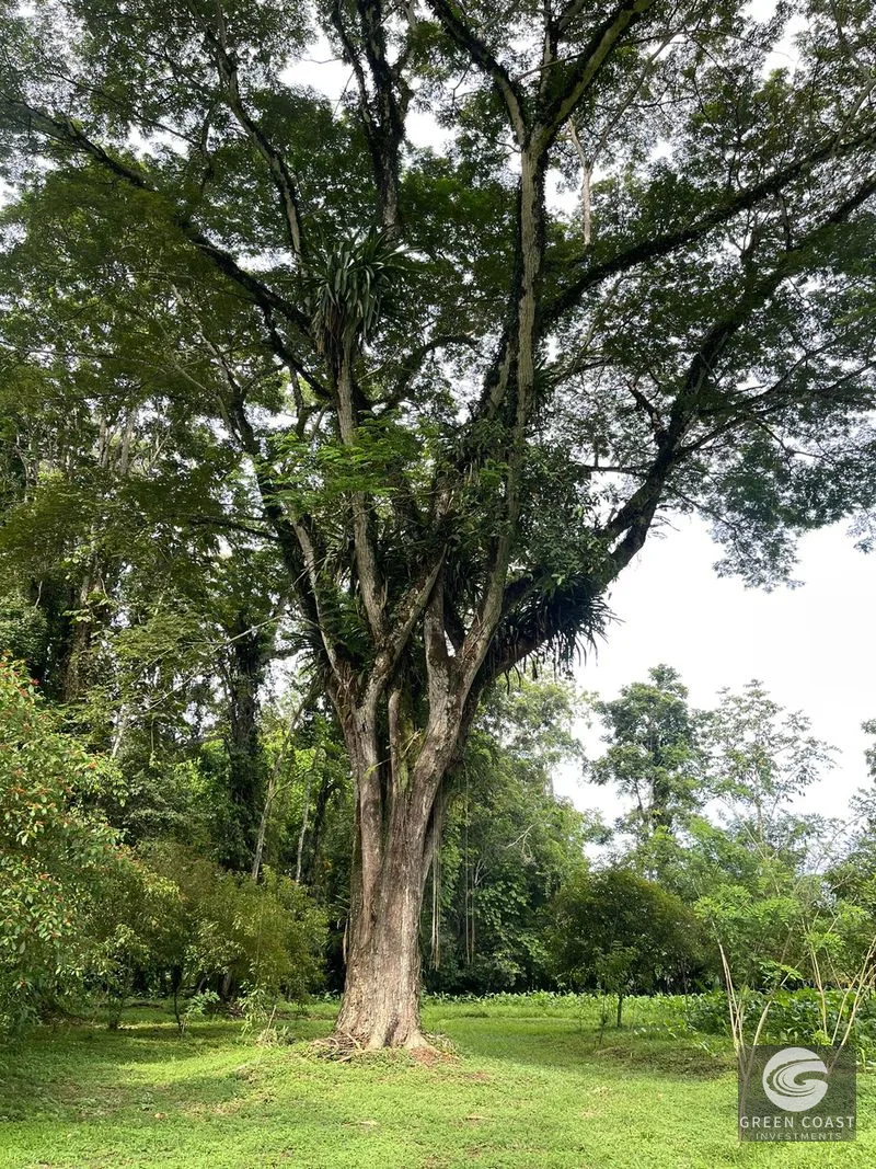 Titled Beachside Lots Near Downtown Puerto Viejo | Walk to the Ocean — view 47, Puerto Viejo, Talamanca, Costa Rica