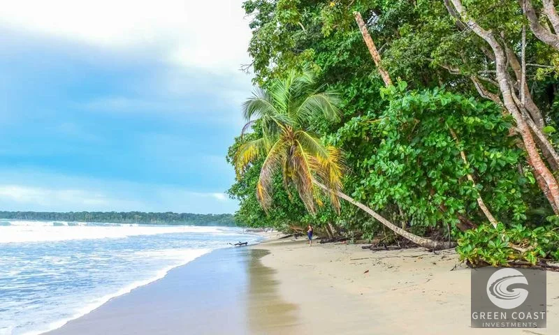 109-Acre Ocean View Development Land with 14 Terraces in Cahuita — view 1, Cahuita, Talamanca, Costa Rica